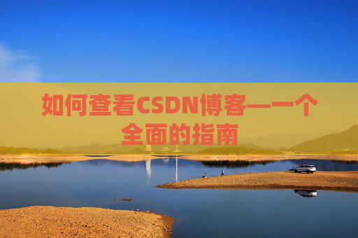 如何查看CSDN博客—一个全面的指南